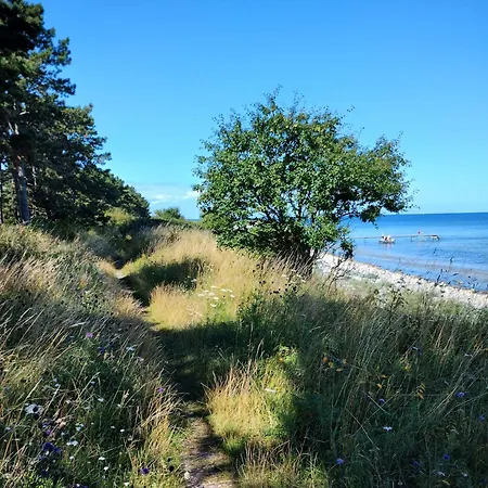 Cozy Holiday Oasis For Two 600 M From Beach Διαμέρισμα Nykøbing Sjælland